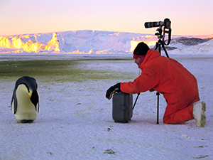 a kneeling photographer aiming the camera at a penguin.
